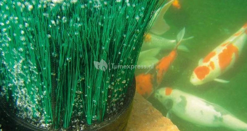 Oase OxyTex CWS Set 500 Luchtpomp - Afbeelding 5