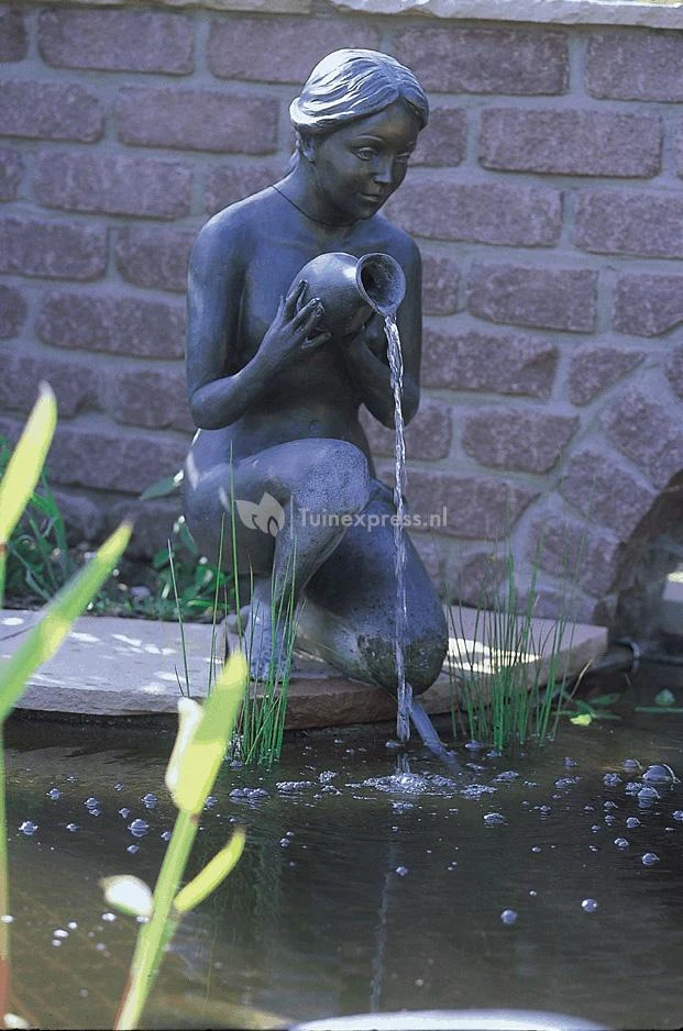 OASE Aquarius Universal Classic 440 Indoor Fonteinpomp - Afbeelding 5