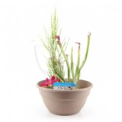 Mini Vijver Kunststof Taupe